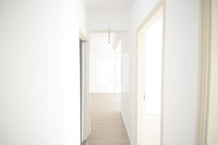 Corredor de apartamento para alugar com 2 quartos, 87m² em Ipiranga, São Paulo