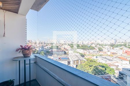 Varanda da Sala de apartamento para alugar com 3 quartos, 140m² em Vila Floresta, Santo André