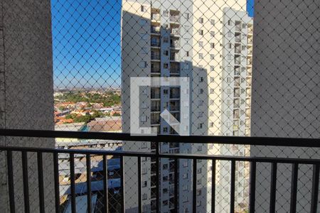 Varanda da Sala de apartamento para alugar com 2 quartos, 48m² em Vila Mimosa, Campinas
