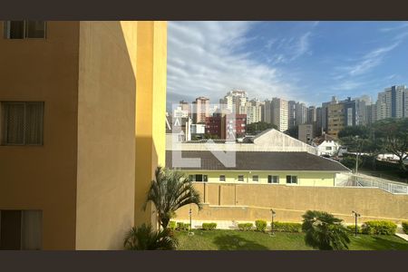 Apartamento para alugar com 1 quarto, 33m² em Água Verde, Curitiba