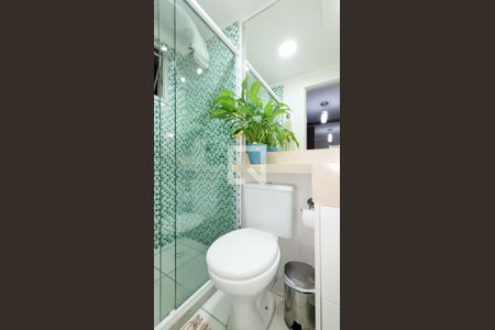 Banheiro da Suíte de apartamento para alugar com 2 quartos, 57m² em Bonfim, Campinas