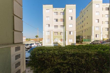 Vista da Sala de apartamento para alugar com 2 quartos, 50m² em Loteamento Parque São Martinho, Campinas