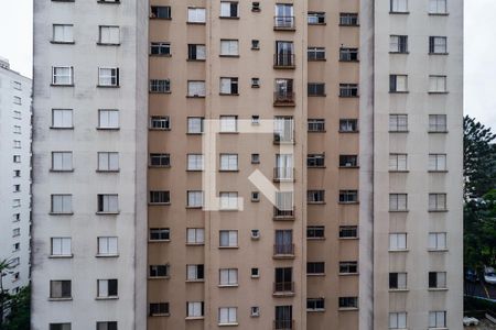 Vista do Quarto 1 de apartamento para alugar com 3 quartos, 69m² em Vila Andrade, São Paulo