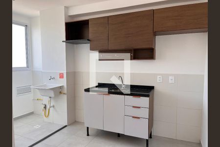 Cozinha de apartamento para alugar com 2 quartos, 43m² em Barra Funda, São Paulo