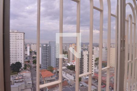 Vista Sala de apartamento para alugar com 3 quartos, 96m² em Centro, Santo André