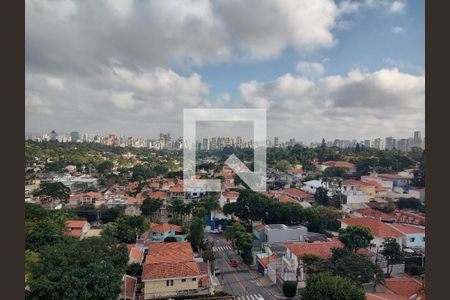 Vista Livre de apartamento para alugar com 2 quartos, 53m² em Vila Alexandria, São Paulo