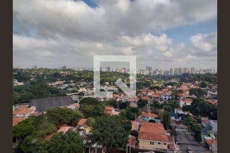 Vista Livre de apartamento para alugar com 2 quartos, 53m² em Vila Alexandria, São Paulo