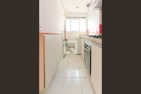 Cozinha de apartamento para alugar com 2 quartos, 51m² em Vila Butantã, São Paulo