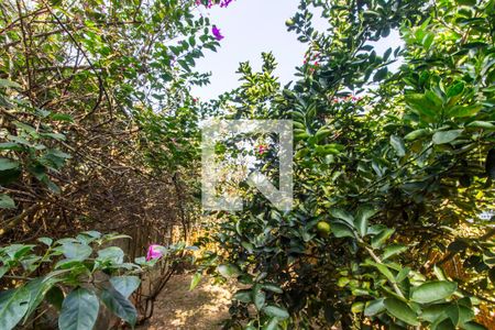 Apartamento para alugar com 390m², 5 quartos e 4 vagas Apartamento para alugar com 390m², 5 quartos e 4 vagasQuintal