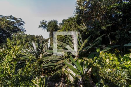 Apartamento para alugar com 390m², 5 quartos e 4 vagas Apartamento para alugar com 390m², 5 quartos e 4 vagasQuintal