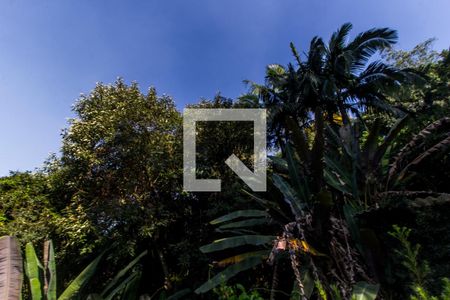 Apartamento para alugar com 390m², 5 quartos e 4 vagas Apartamento para alugar com 390m², 5 quartos e 4 vagasQuintal