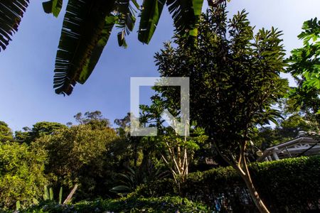 Apartamento para alugar com 390m², 5 quartos e 4 vagas Apartamento para alugar com 390m², 5 quartos e 4 vagasQuintal