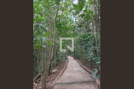 Bosque  de apartamento à venda com 3 quartos, 220m² em Vila Andrade, São Paulo