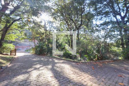 Casa de condomínio à venda com 800m², 8 quartos e 8 vagas Casa de condomínio à venda com 800m², 8 quartos e 8 vagasQuintal