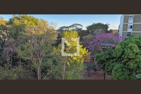 Vista da Sala de apartamento para alugar com 2 quartos, 70m² em Sqs 203, Brasília