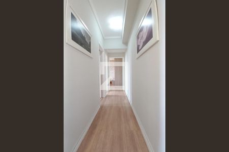 Corredor  de apartamento para alugar com 2 quartos, 48m² em Vila Faustina Ii, Campinas