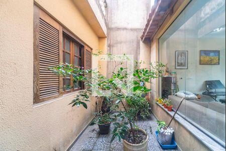 Jardim de Inverno  de casa para alugar com 3 quartos, 190m² em Vila Joao Ramalho, Santo André