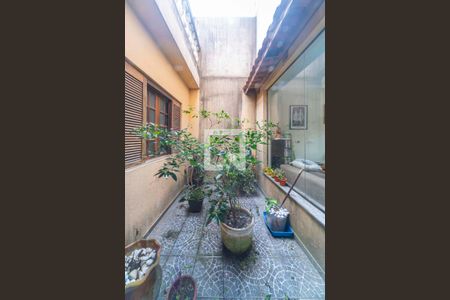 Jardim de Inverno de casa para alugar com 3 quartos, 190m² em Vila Joao Ramalho, Santo André