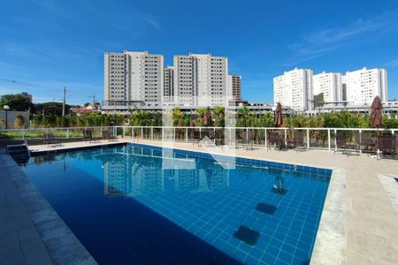 Área comum - Piscina de apartamento à venda com 2 quartos, 54m² em Fundação da Casa Popular, Campinas