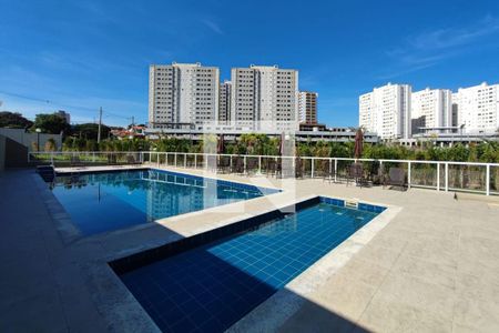 Área comum - Piscina de apartamento à venda com 2 quartos, 54m² em Fundação da Casa Popular, Campinas