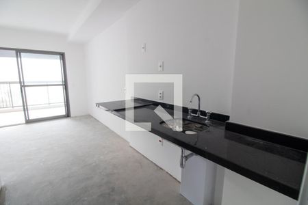 Cozinha de kitnet/studio para alugar com 1 quarto, 30m² em Santo Amaro, São Paulo