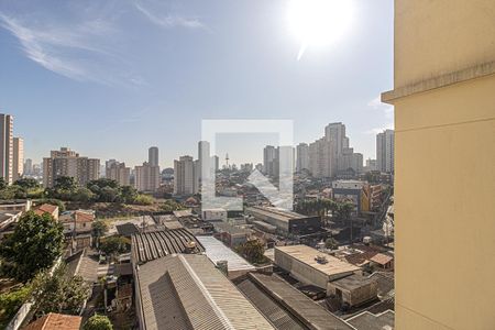 vistas_3 de apartamento para alugar com 2 quartos, 65m² em Vila das Mercês, São Paulo