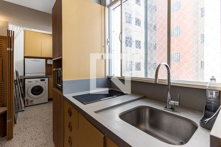 Cozinha - Pia de apartamento para alugar com 1 quarto, 48m² em Vila Buarque, São Paulo