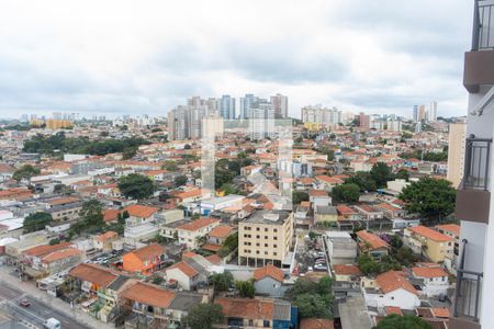 Vista da Sala de apartamento para alugar com 1 quarto, 31m² em Vila Sônia, São Paulo