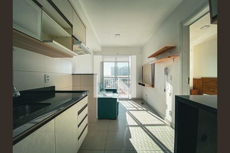 Cozinha de apartamento para alugar com 1 quarto, 28m² em Ferreira, São Paulo