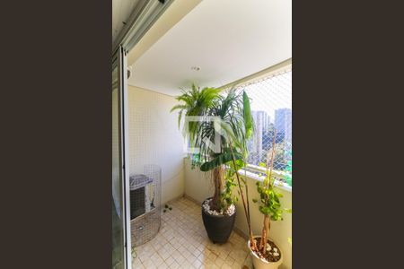 Varanda da Sala de apartamento para alugar com 3 quartos, 160m² em Parque Bairro Morumbi, São Paulo