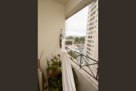 Varanda da Sala de apartamento para alugar com 3 quartos, 68m² em Vila Isa, São Paulo