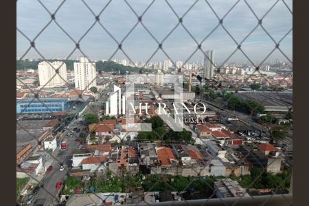 Apartamento à venda com 2 quartos, 51m² em Vila Antonieta, São Paulo