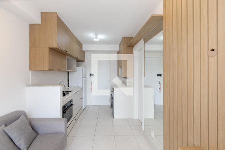 Sala/Cozinha de apartamento para alugar com 1 quarto, 27m² em Jardim Caravelas, São Paulo