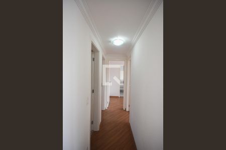 Corredor de apartamento para alugar com 3 quartos, 73m² em Jardim Wanda, Taboão da Serra