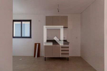 Sala e Cozinha Integrada de apartamento para alugar com 2 quartos, 48m² em Parque Cruzeiro do Sul, São Paulo