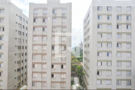 Vista do Quarto 1 de apartamento para alugar com 2 quartos, 80m² em Nova Petrópolis, São Bernardo do Campo