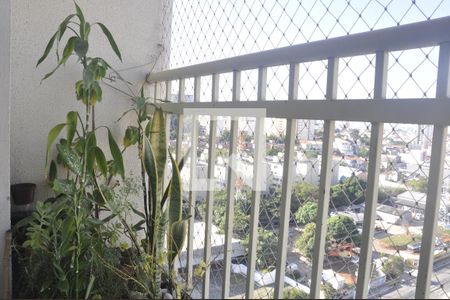 Varanda da Sala de apartamento para alugar com 2 quartos, 50m² em Limão, São Paulo