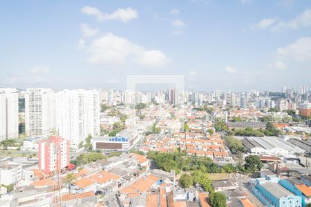 Vista - Sacada de apartamento para alugar com 2 quartos, 55m² em Baeta Neves, São Bernardo do Campo