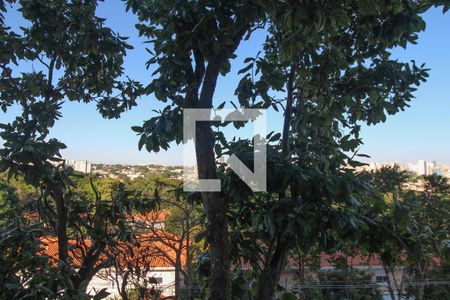 Vista  de apartamento para alugar com 3 quartos, 110m² em Jardim das Paineiras, Campinas