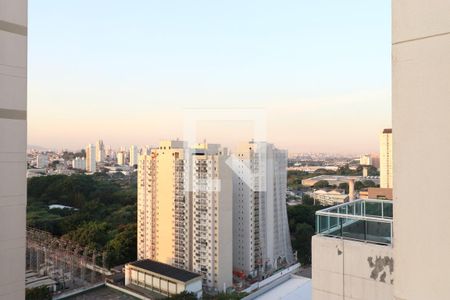 Vista de apartamento para alugar com 1 quarto, 45m² em Várzea da Barra Funda, São Paulo