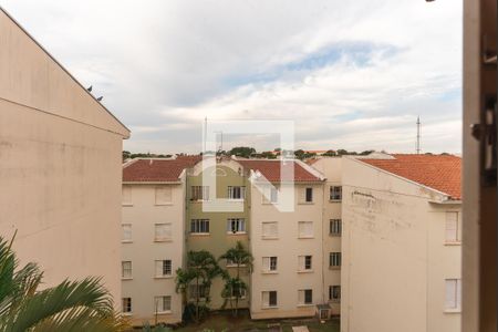 Vista do Quarto 1 de apartamento para alugar com 2 quartos, 59m² em Jardim Capivari, Campinas