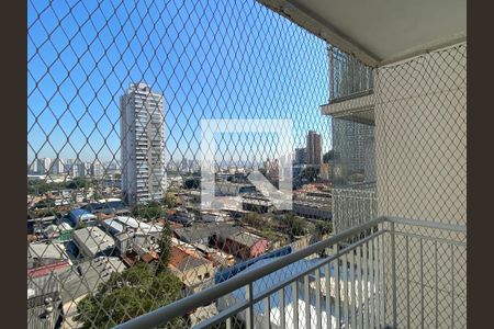 Sacada de apartamento para alugar com 2 quartos, 50m² em Quinta da Paineira, São Paulo