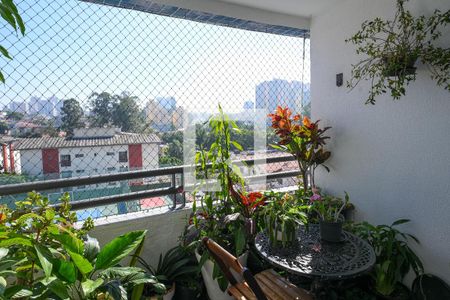 Varanda Sala de apartamento à venda com 3 quartos, 72m² em Jardim Santa Cruz (sacoma), São Paulo