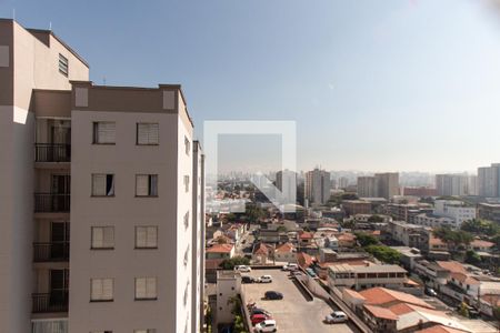 Vista da Varanda  de apartamento para alugar com 2 quartos, 53m² em Vila Guilherme, São Paulo