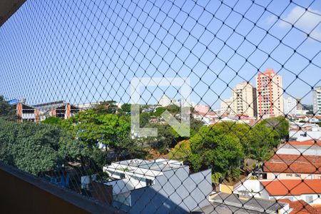 Suíte vista de apartamento para alugar com 3 quartos, 134m² em Rudge Ramos, São Bernardo do Campo