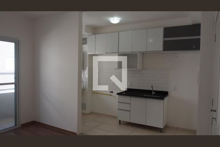 Cozinha e Área de Serviço de apartamento para alugar com 2 quartos, 46m² em Ponte de São João, Jundiaí
