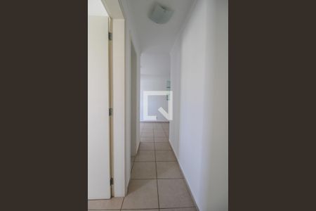 Corredor  de apartamento à venda com 2 quartos, 50m² em Bonfim, Campinas