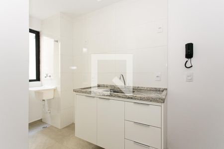 Cozinha de apartamento para alugar com 2 quartos, 30m² em Guaiaúna, São Paulo
