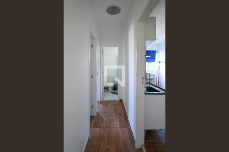 Corredor de apartamento para alugar com 2 quartos, 48m² em Sacoma, São Paulo