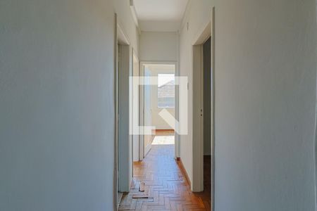 Corredor  de apartamento para alugar com 3 quartos, 85m² em Lagoinha, Belo Horizonte